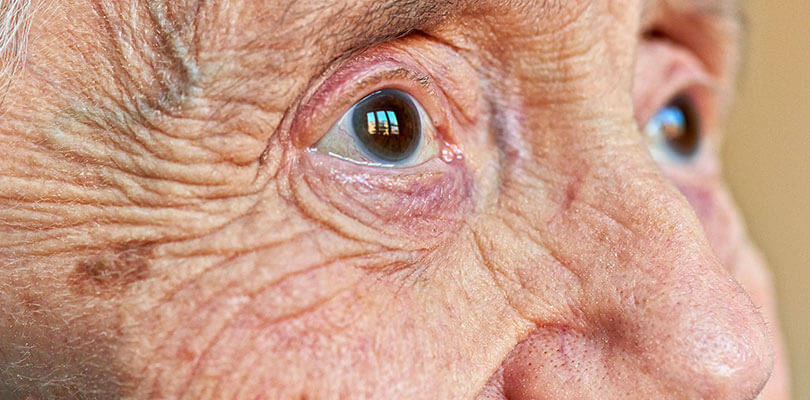 Maus tratos a idosos - Detetive Particular Adriana Oliveira